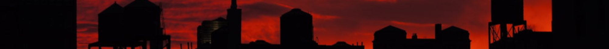 death is a slow process